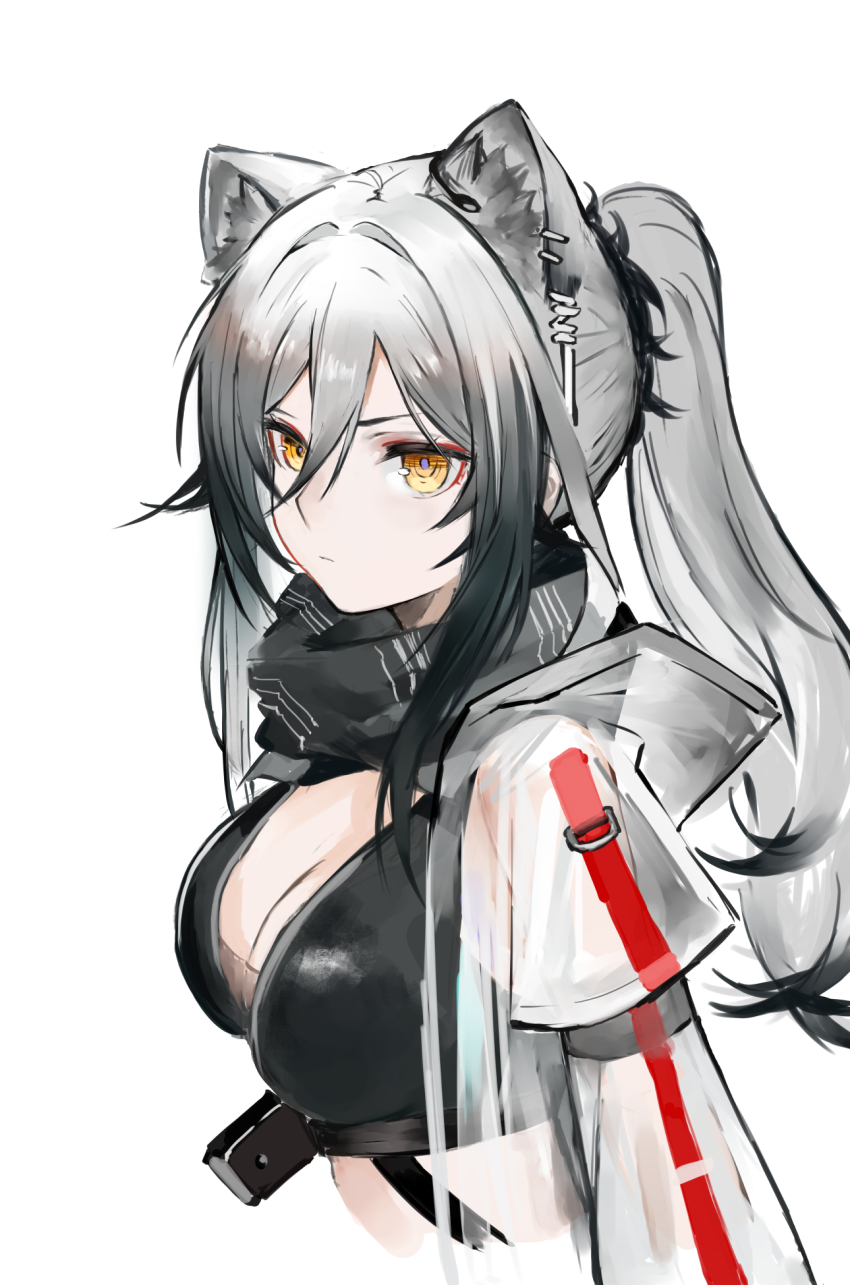 Schwarz (Arknights) Rule 34 Image