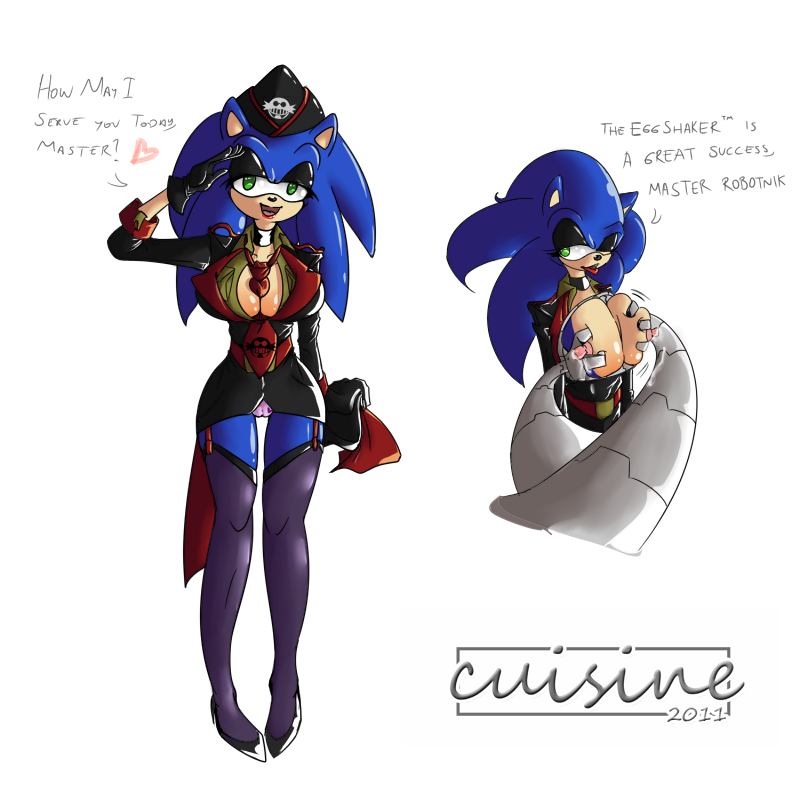 Sonic The Hedgehog (Sonic (Series)) Rule 34 Image
