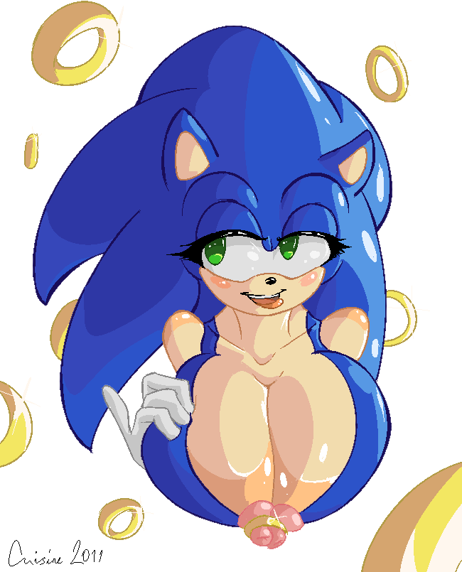 Sonic The Hedgehog (Sonic (Series)) Rule 34 Image