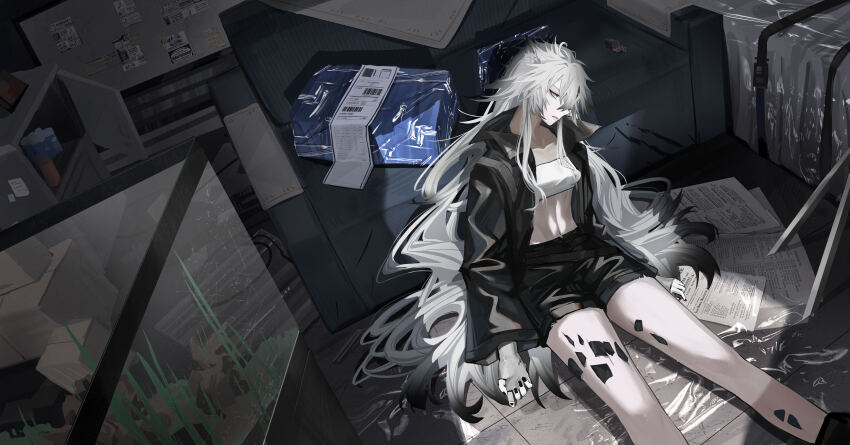 Lappland (Arknights) Rule 34 Image