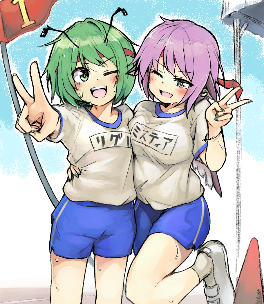 Mystia Lorelei (Touhou) Rule 34 Image