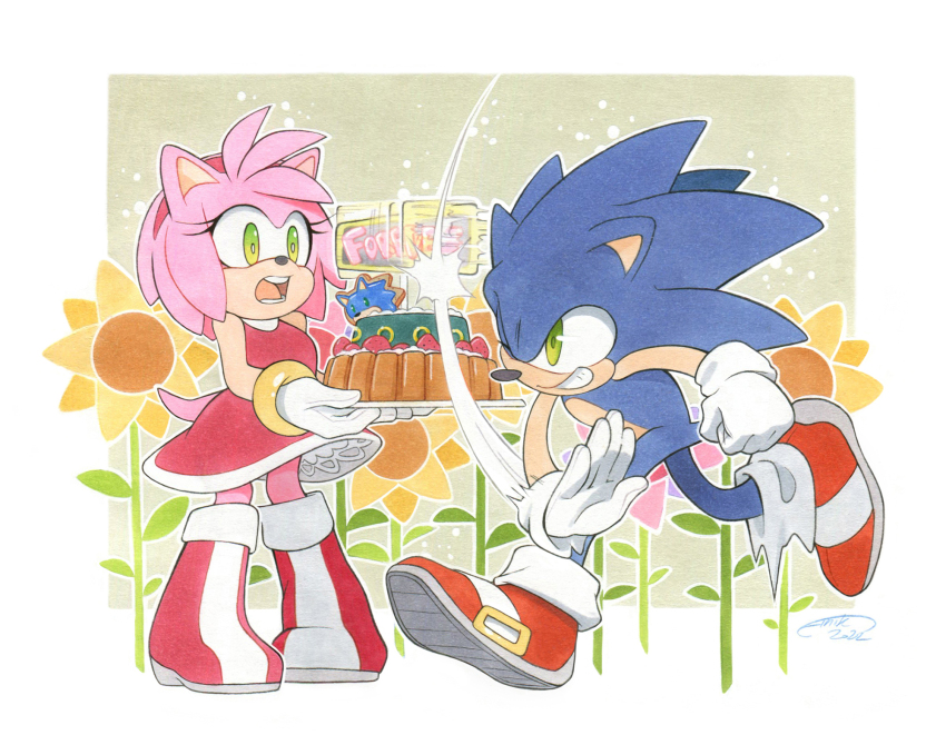 Amy Rose (Sonic (Series)) Rule 34 Image