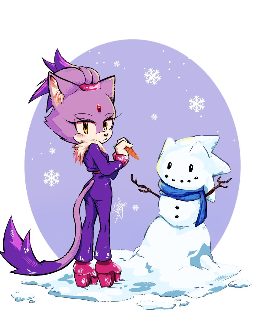 Blaze The Cat (Sonic (Series)) Rule 34 Image