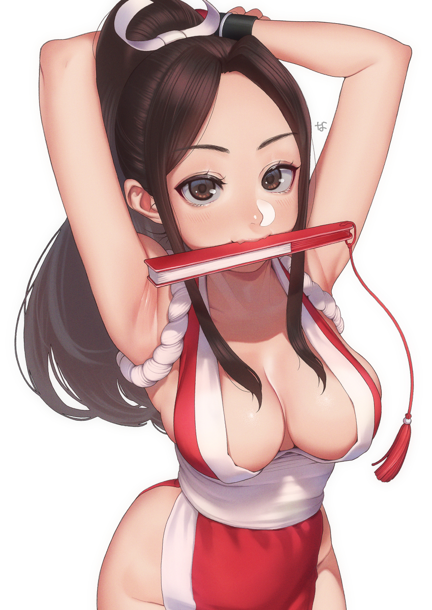 Fatal Fury Rule 34 Image