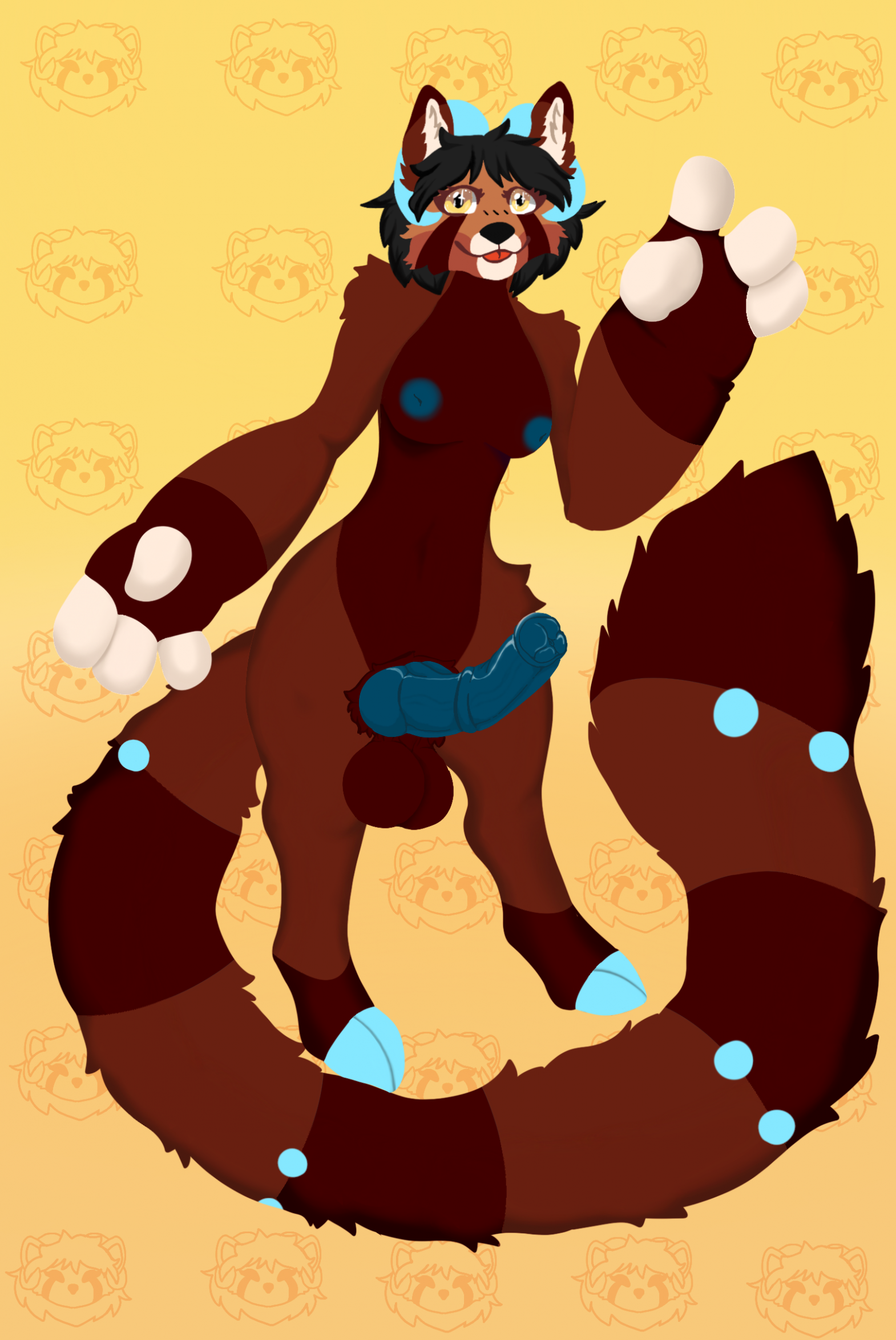 Ailurid Rule 34 Image