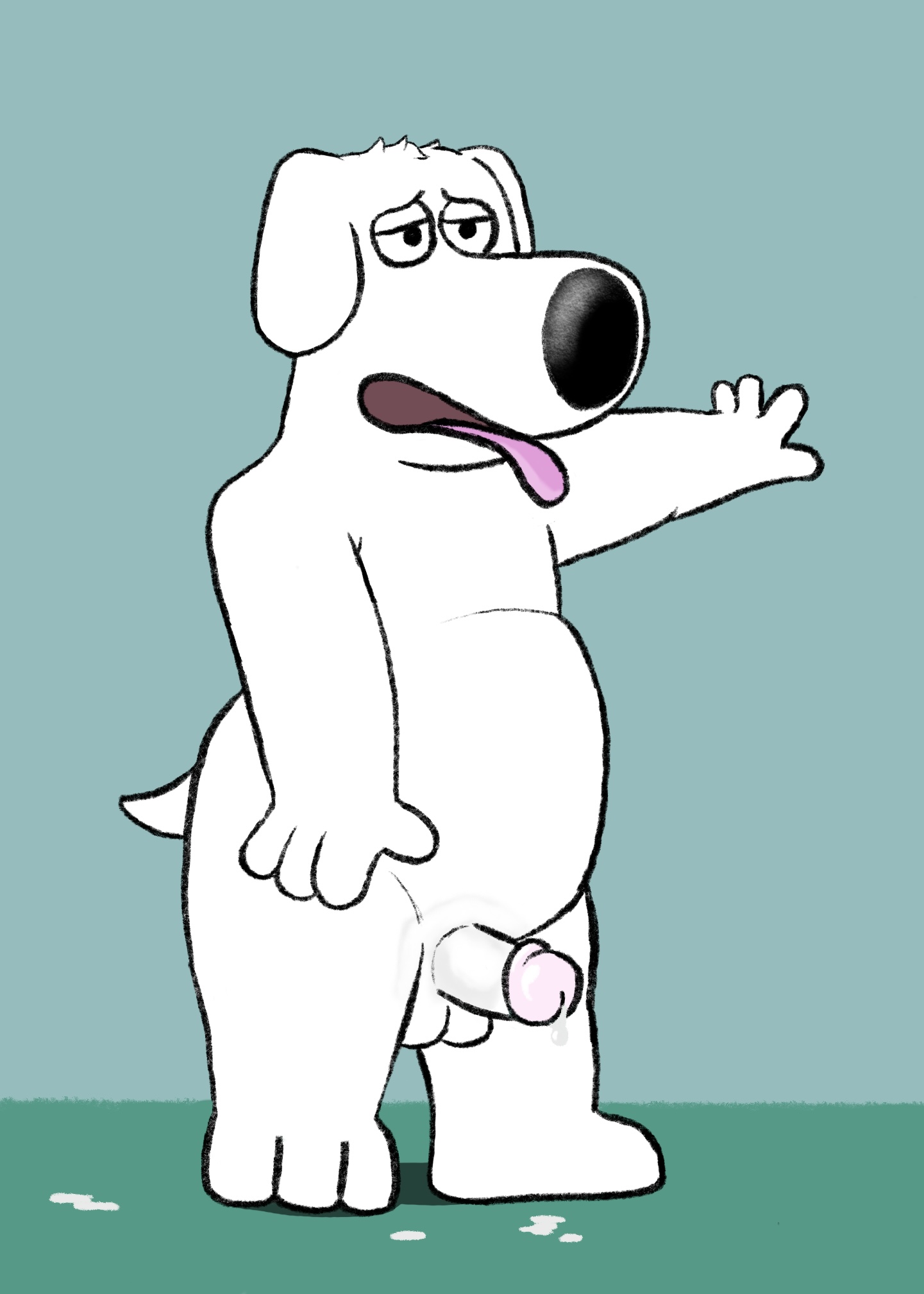 Brian Griffin (Family Guy) Rule 34 Image