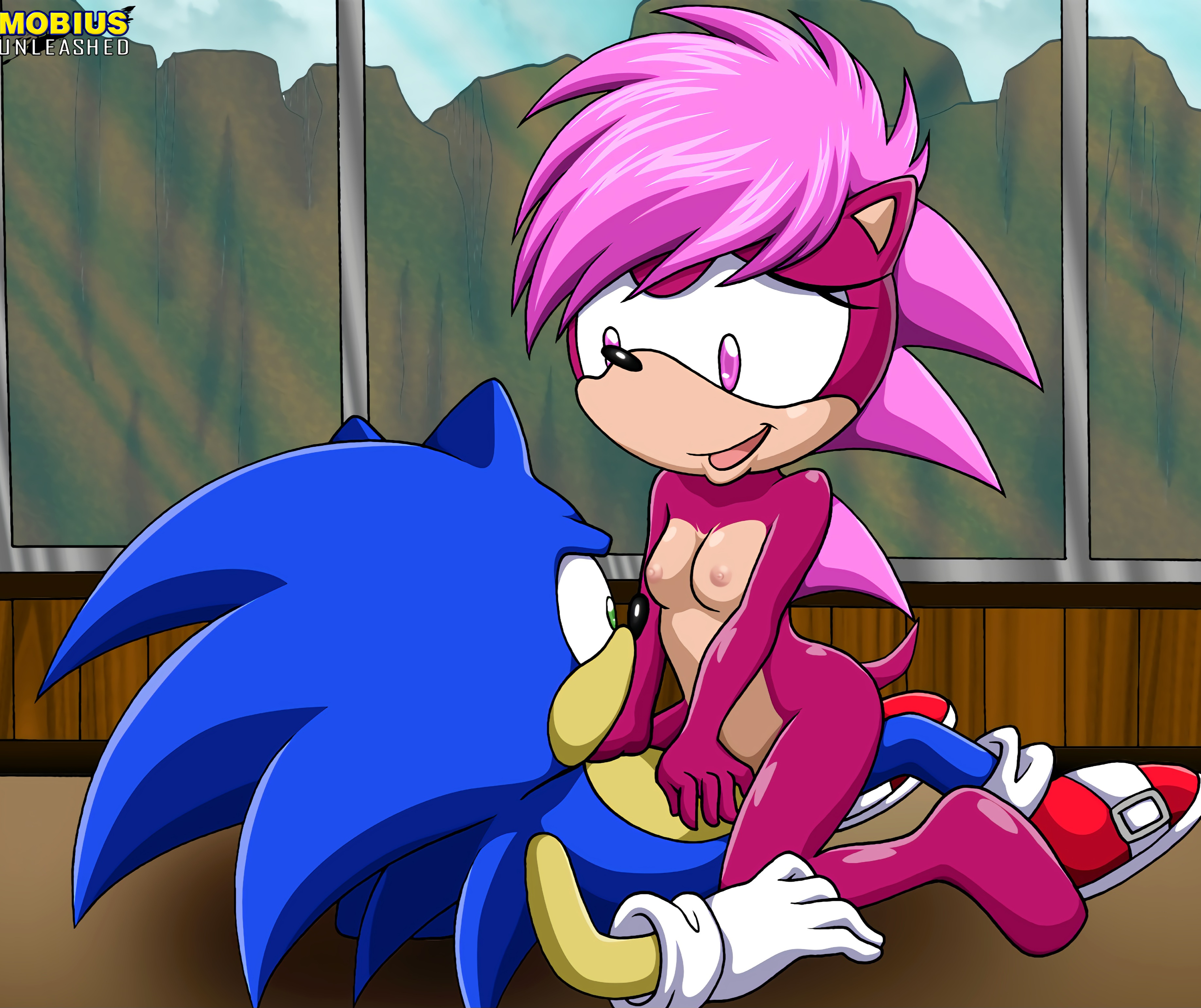 Sonia The Hedgehog (Sonic (Series)) Rule 34 Image
