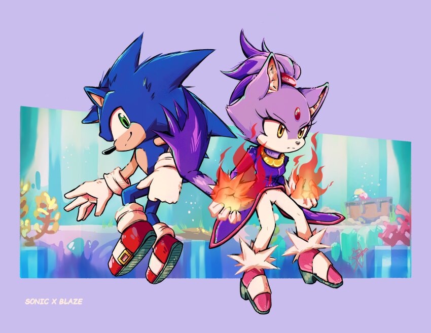 Blaze The Cat (Sonic (Series)) Rule 34 Image