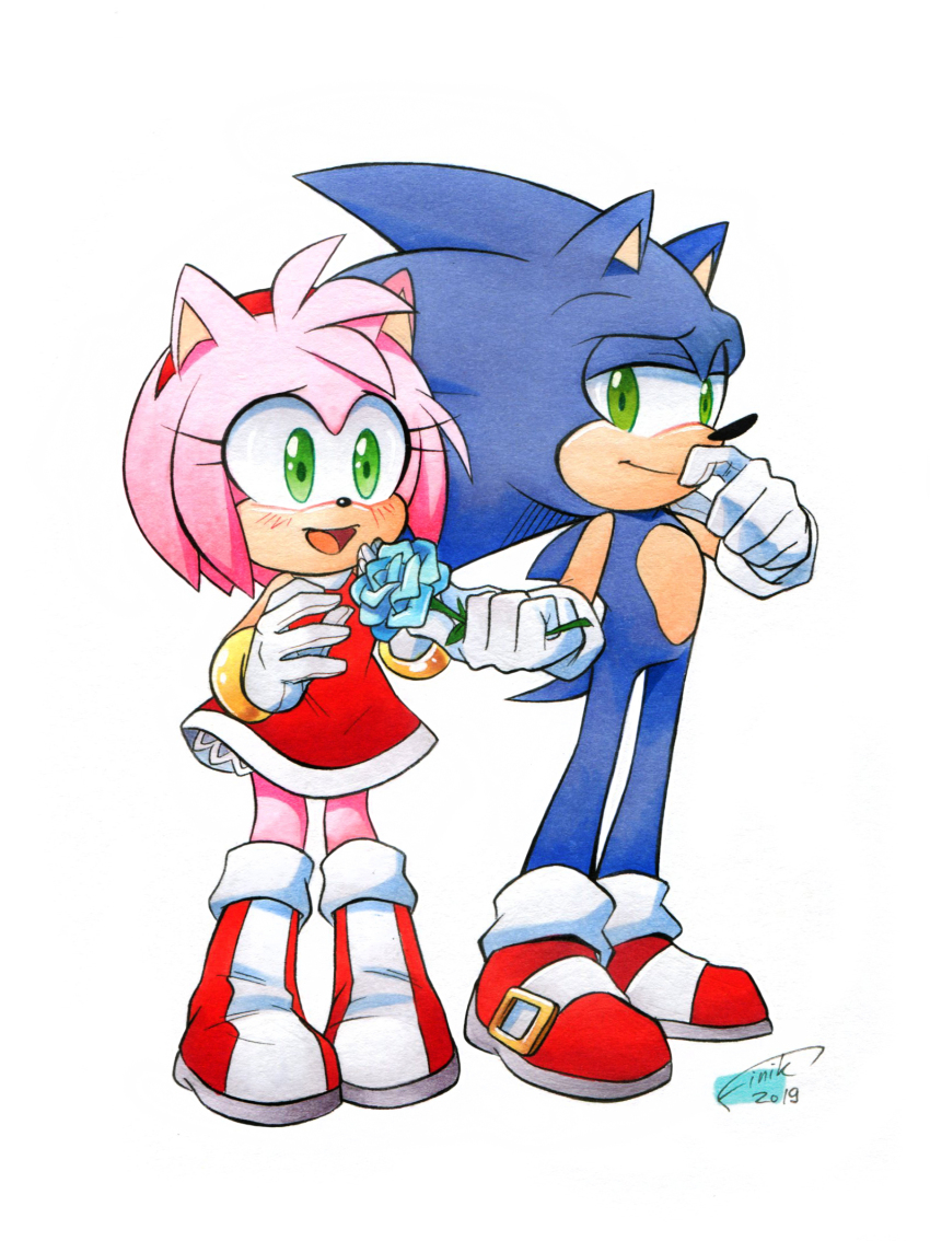 Amy Rose (Sonic (Series)) Rule 34 Image