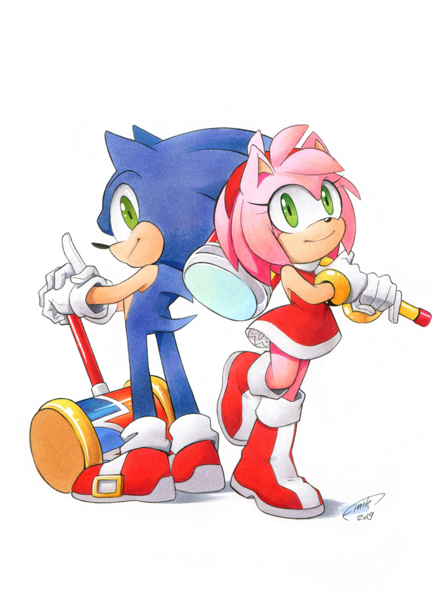 Amy Rose (Sonic (Series)) Rule 34 Image