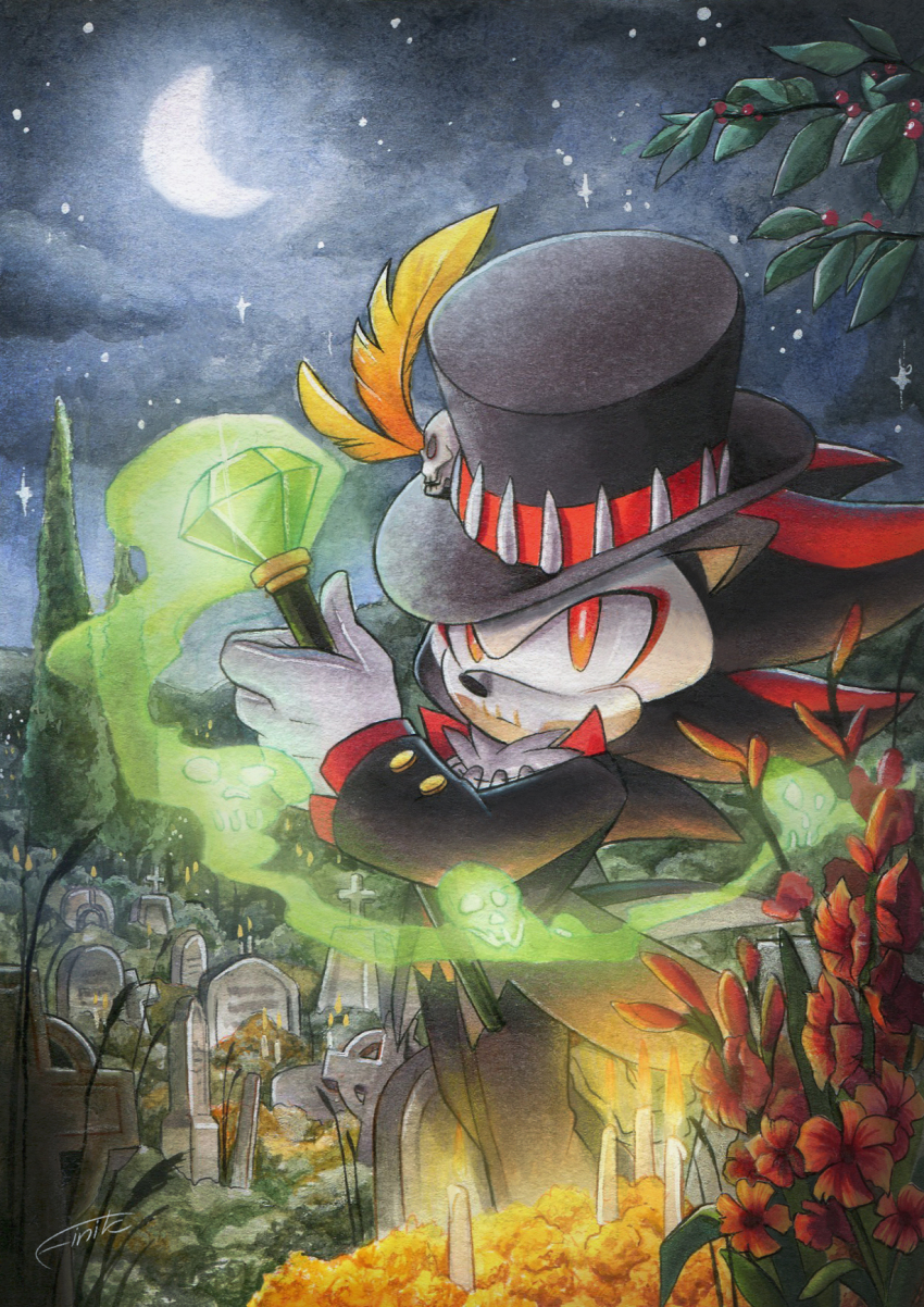 Shadow The Hedgehog (Baron Samedi) Rule 34 Image