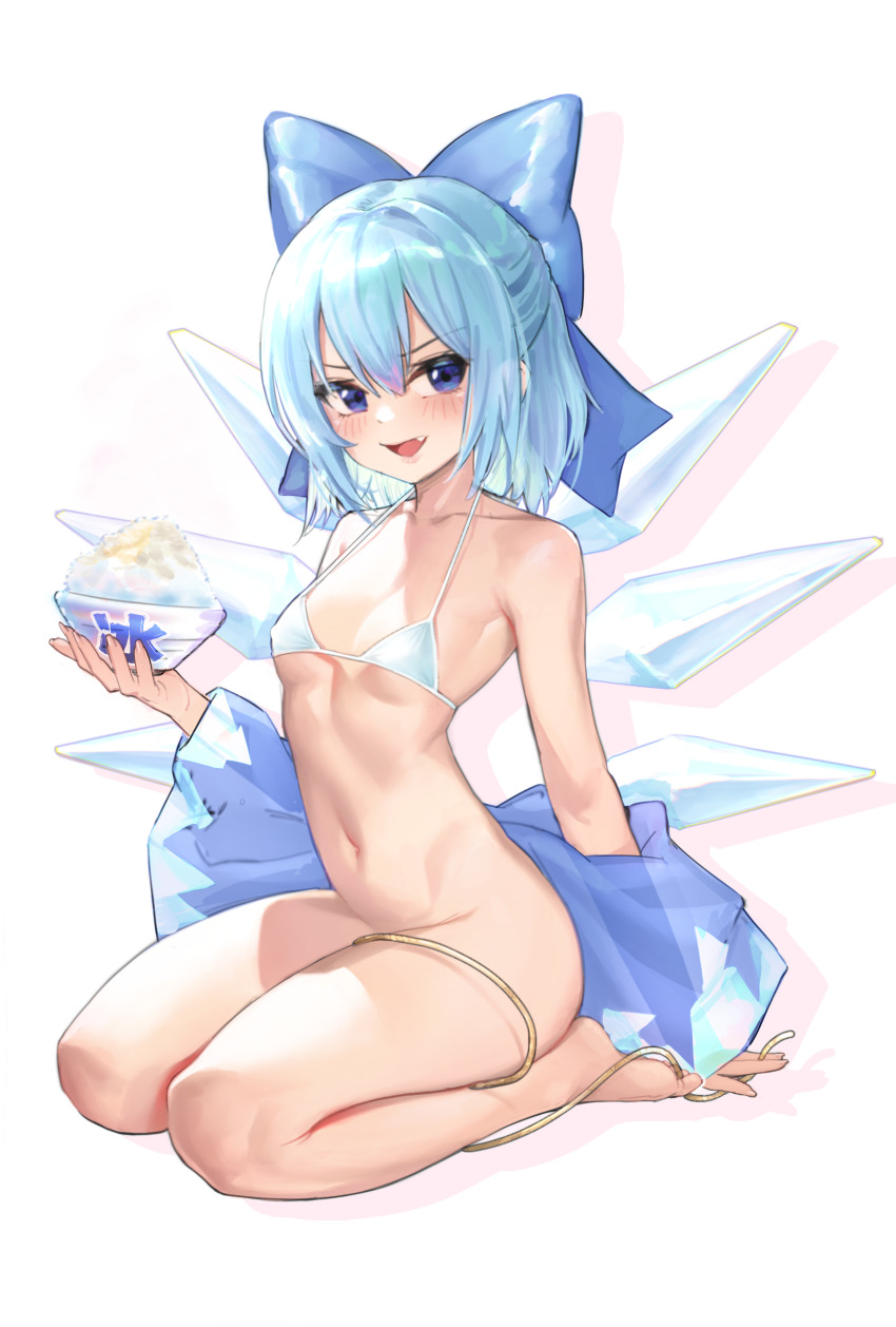 Cirno (Touhou) Rule 34 Image