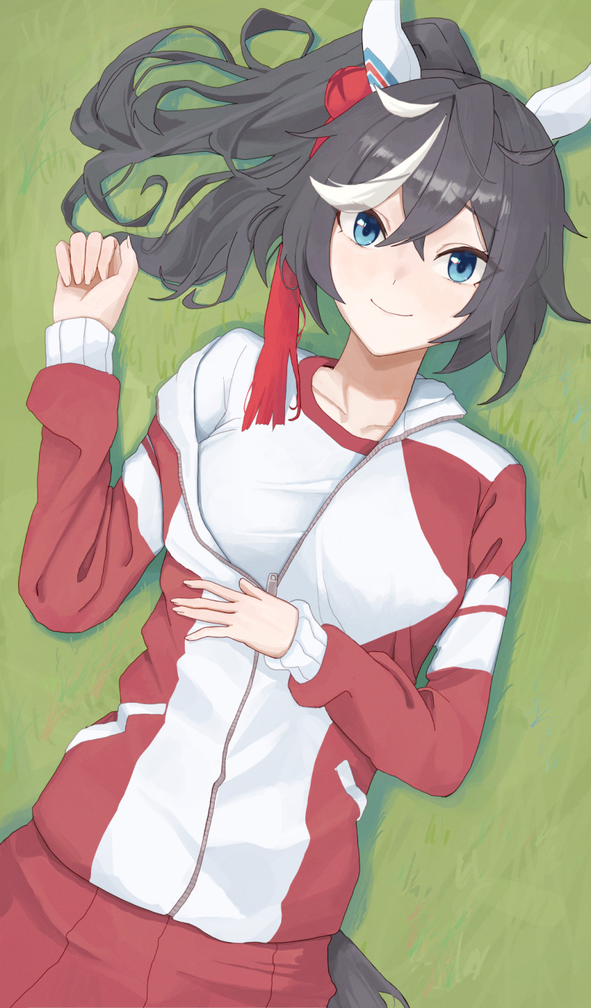 Umamusume Rule 34 Image