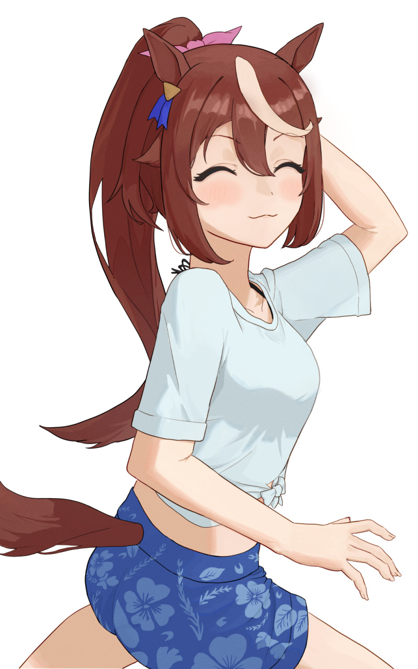 Tokai Teio (Umamusume) Rule 34 Image