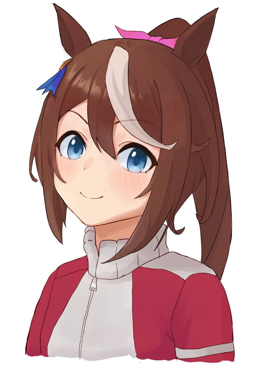 Tokai Teio (Umamusume) Rule 34 Image