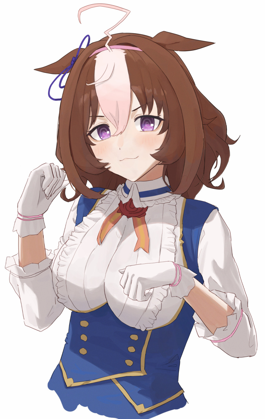 Meisho Doto (Umamusume) Rule 34 Image