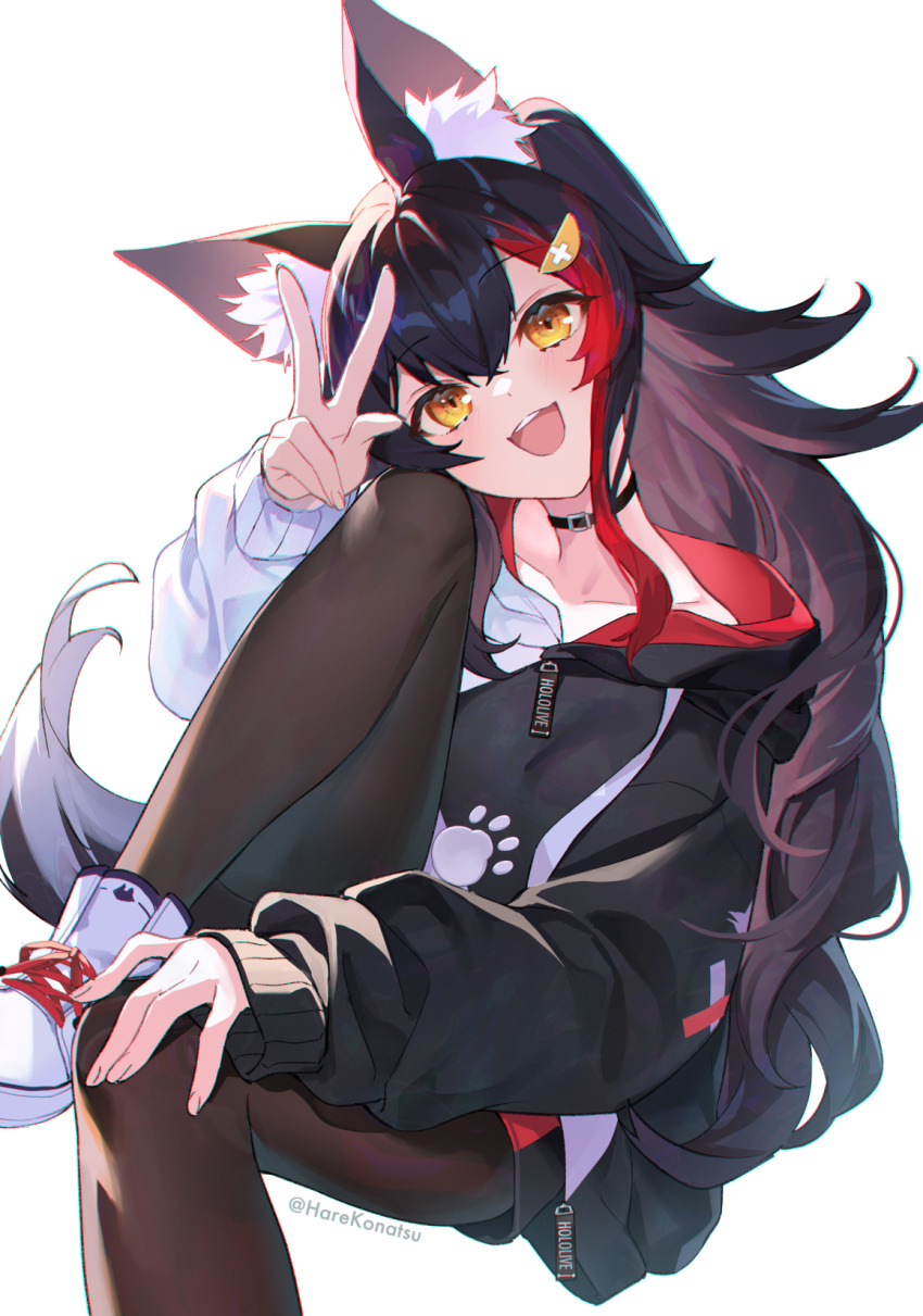Ookami Mio (Hololive) Rule 34 Image