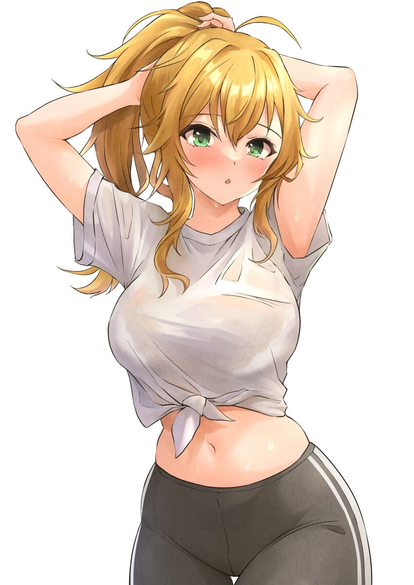 Hoshii Miki (Idolmaster) Rule 34 Image