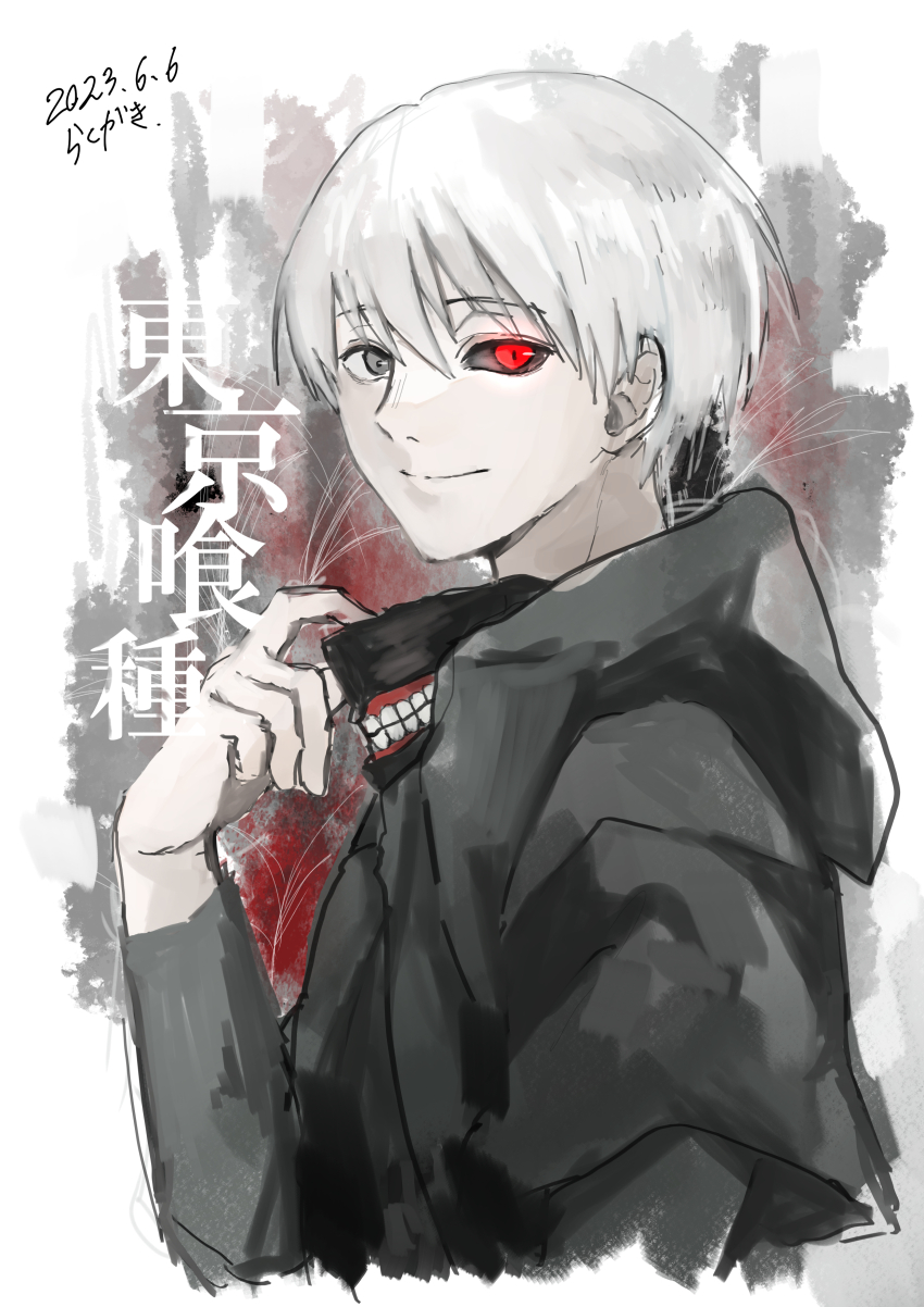 Kaneki Ken (Tokyo Ghoul) Rule 34 Image