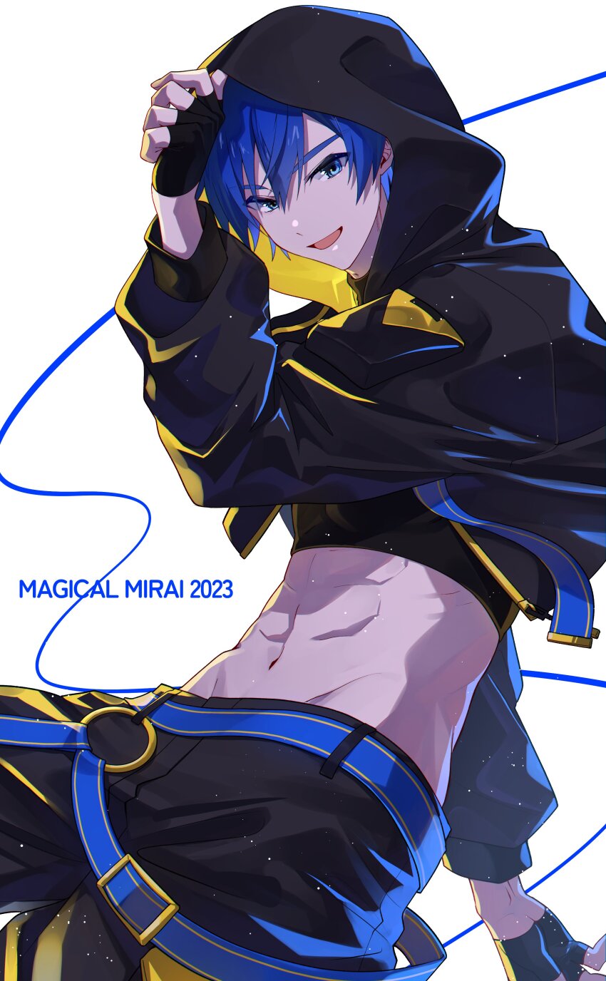 Kaito (Vocaloid) Rule 34 Image