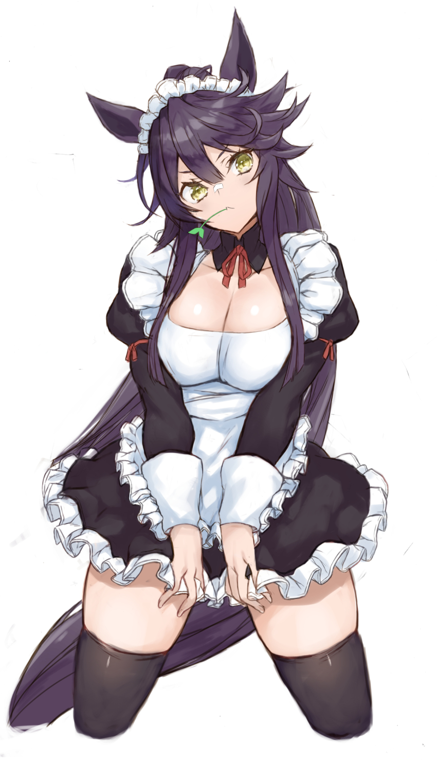 Narita Brian (Umamusume) Rule 34 Image