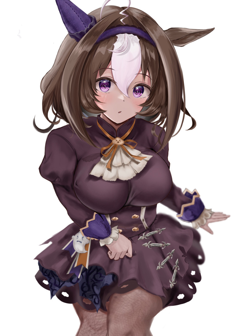 Meisho Doto (Umamusume) Rule 34 Image