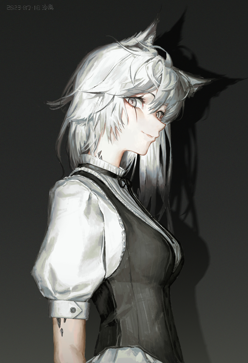 Lappland (Arknights) Rule 34 Image