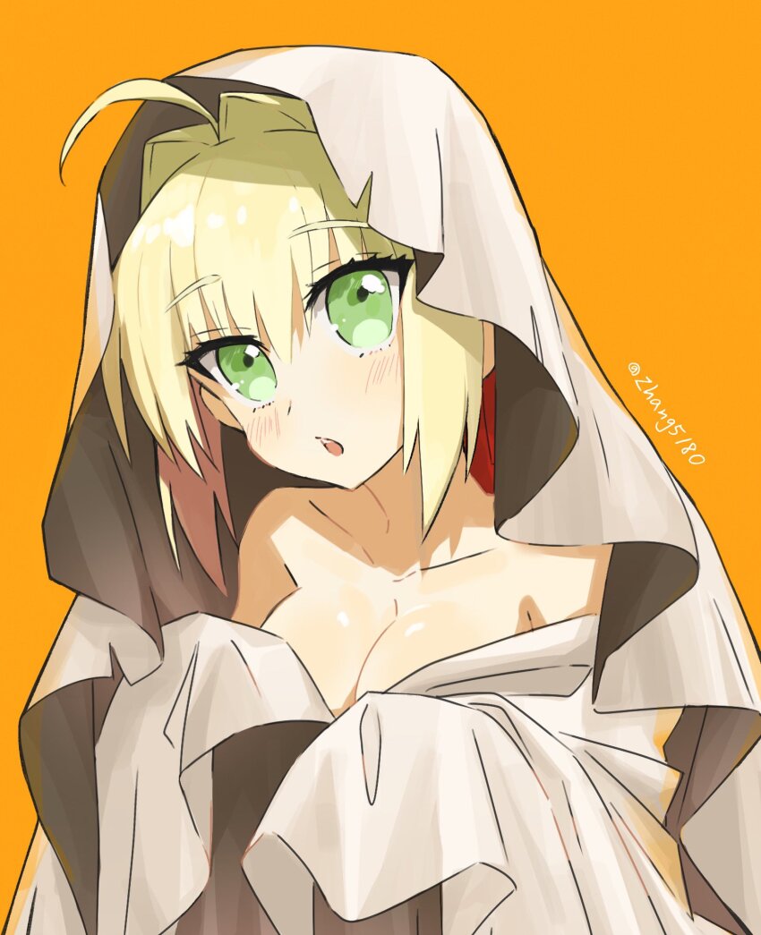 Nero Claudius (Fate) Rule 34 Image