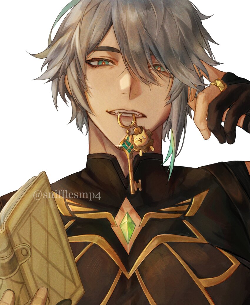 Alhaitham (Genshin Impact) Rule 34 Image