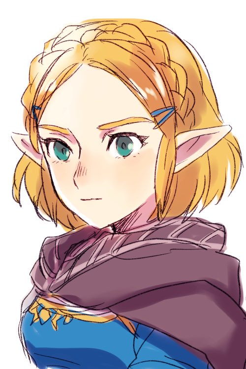 Princess Zelda (Nintendo) Rule 34 Image