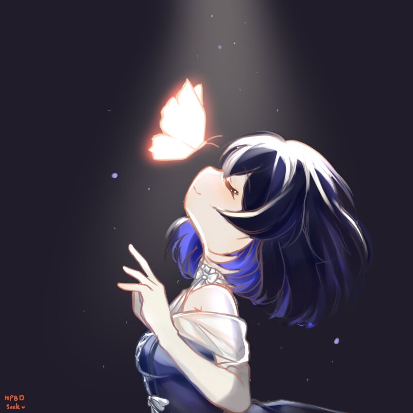 Seele Vollerei (Honkai (Series)) Rule 34 Image