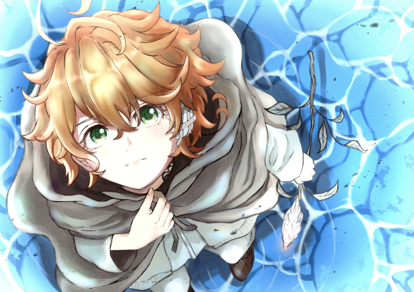 Yakusoku No Neverland Rule 34 Image