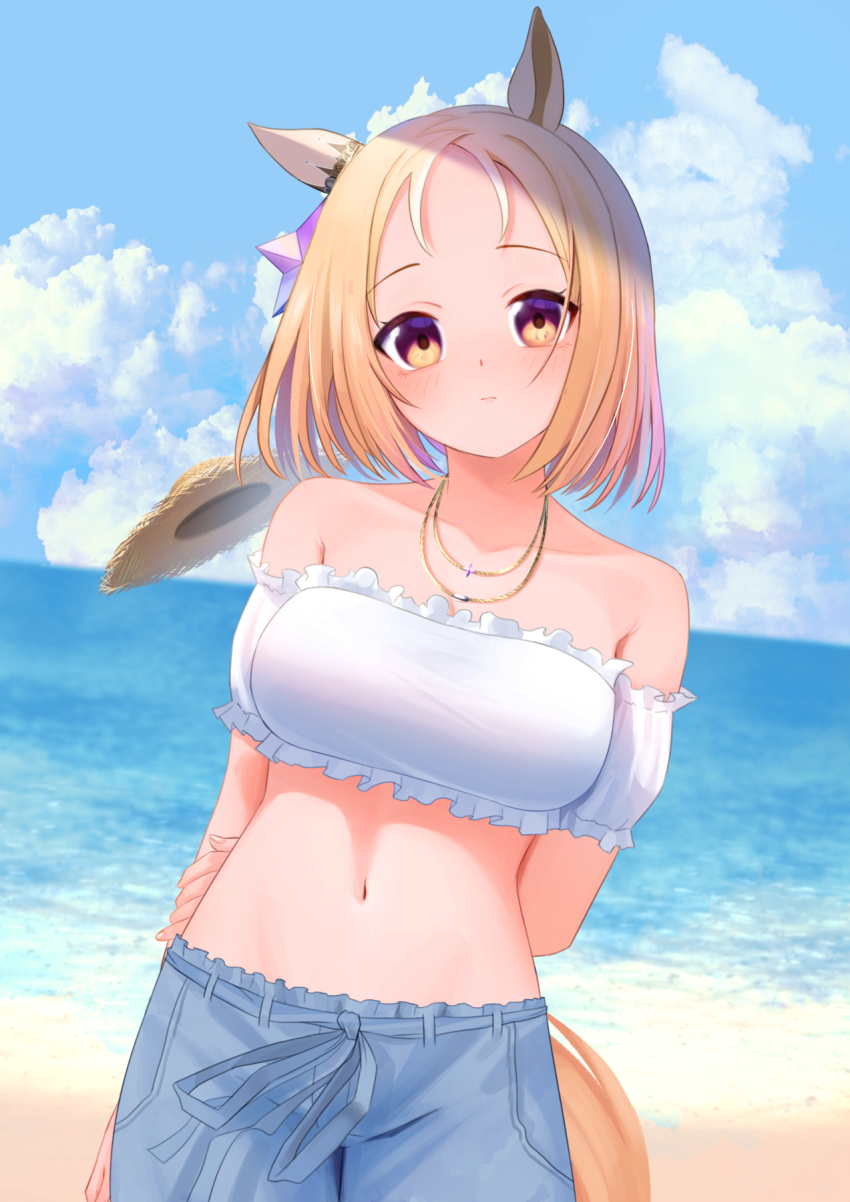 Narita Top Road (Umamusume) Rule 34 Image