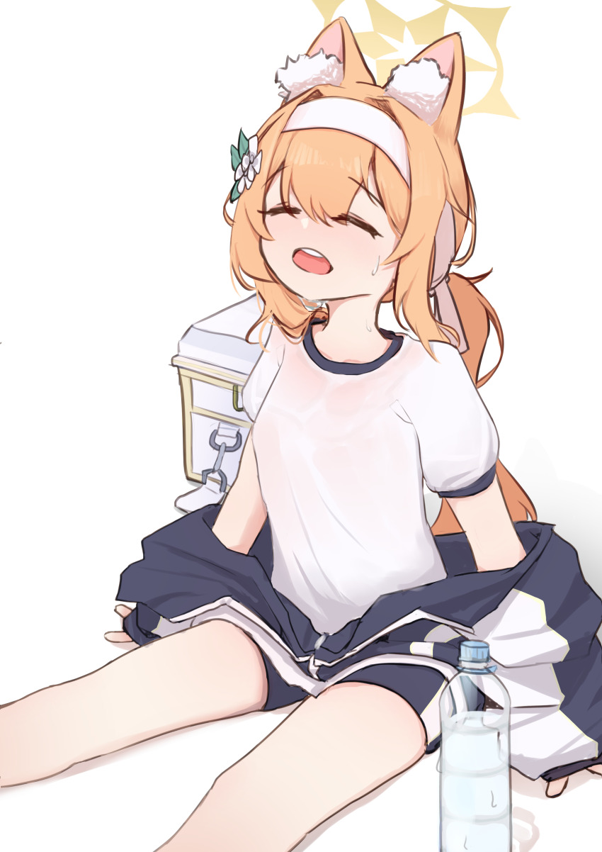 Mari (Blue Archive) Rule 34 Image