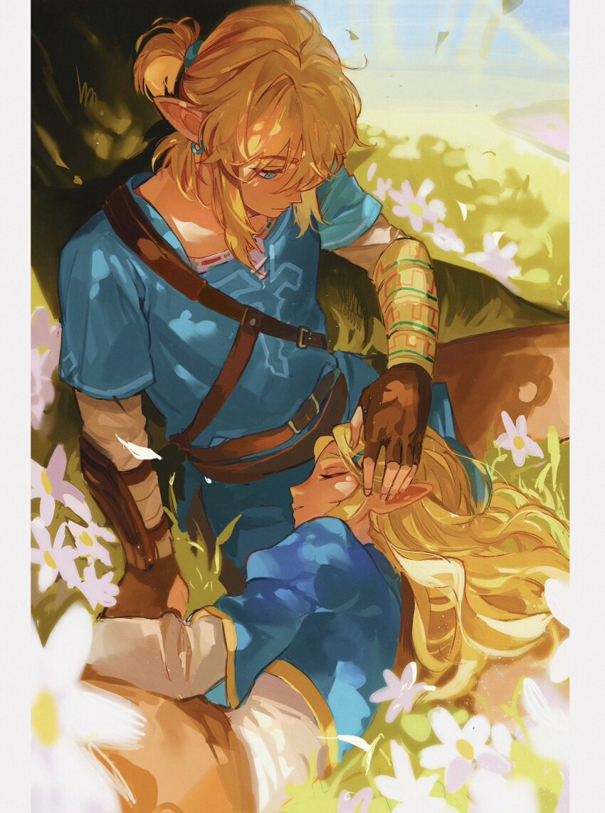 Link (Nintendo) Rule 34 Image