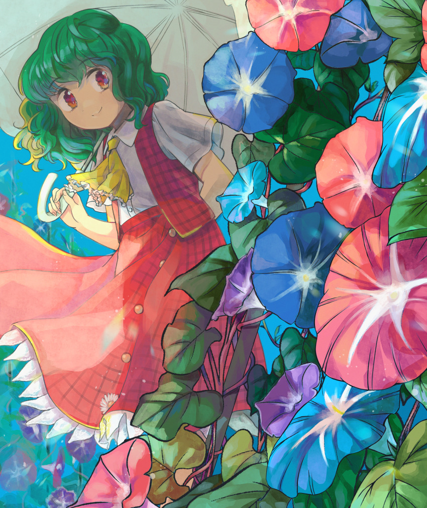Kazami Yuuka (Morning Glory) Rule 34 Image