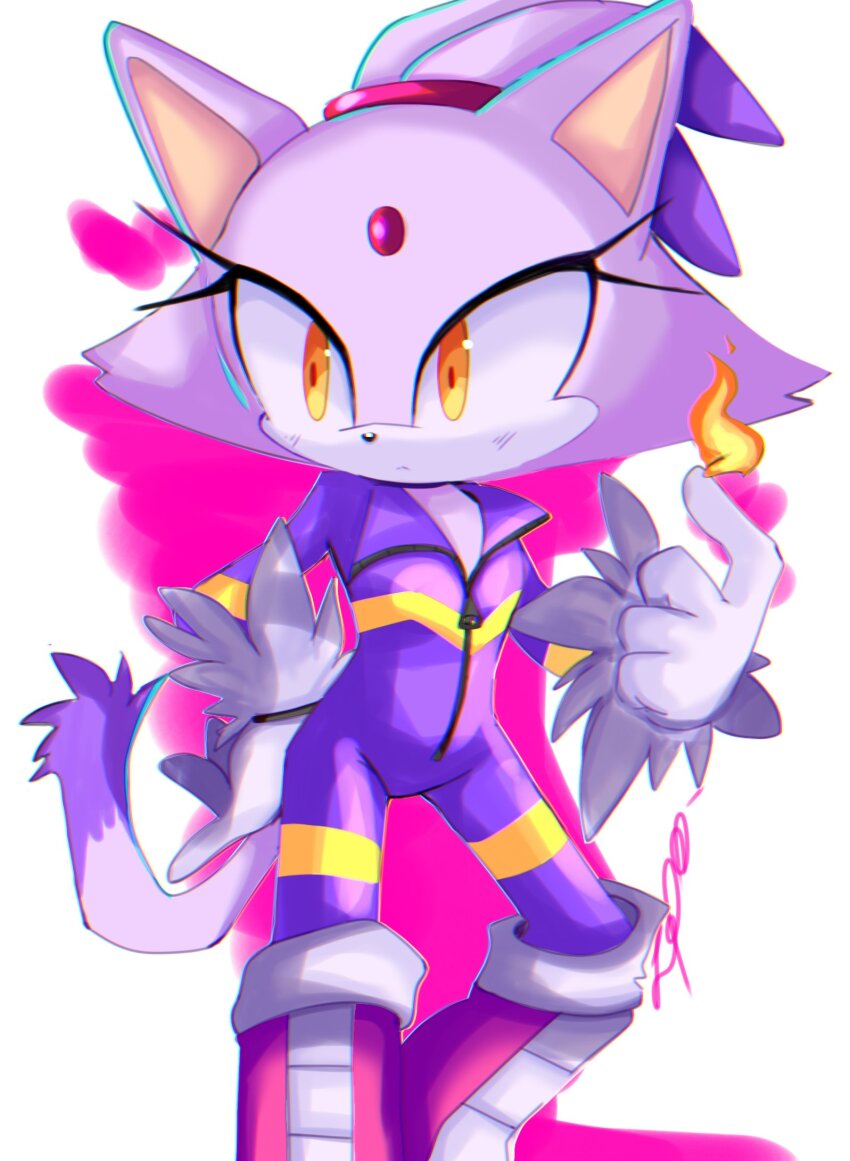 Blaze The Cat (Sonic (Series)) Rule 34 Image