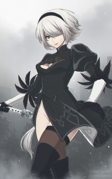 2b (Nier:Automata) Rule 34 Image