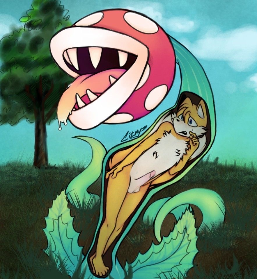 Piranha Plant (Mario (Series)) Rule 34 Image