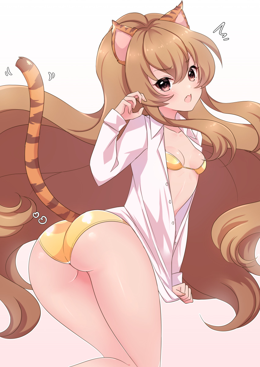Aisaka Taiga (Toradora!) Rule 34 Image