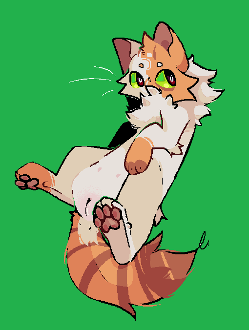 Brightheart (Warriors) Rule 34 Image