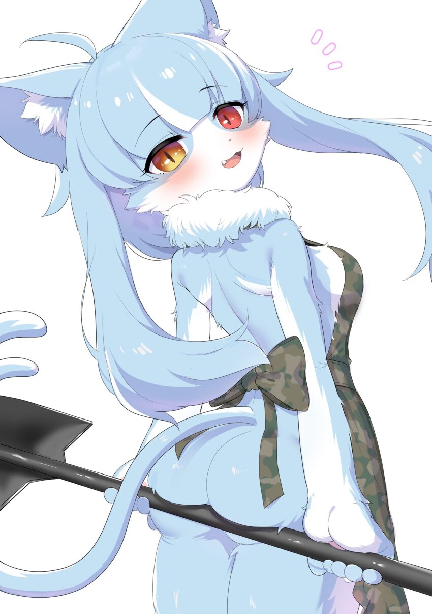 Japan Air Self-Defense Force Rule 34 Image