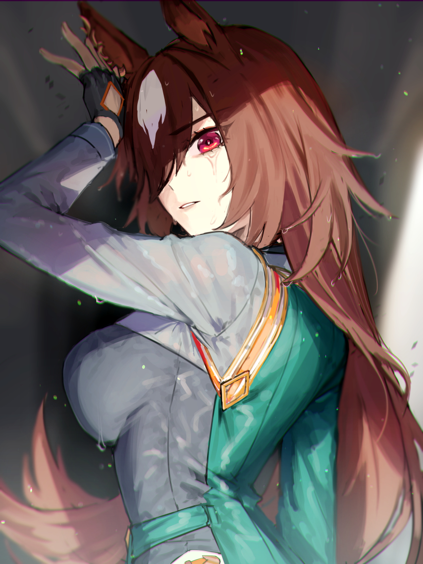 Sirius Symboli (Umamusume) Rule 34 Image