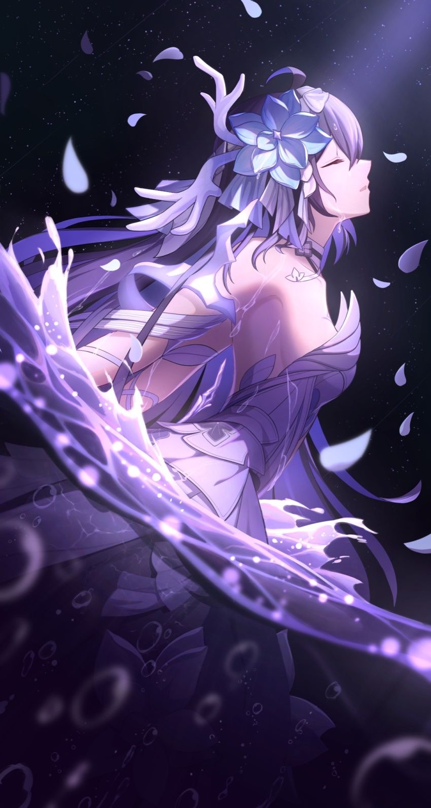 Seele Vollerei (Honkai (Series)) Rule 34 Image