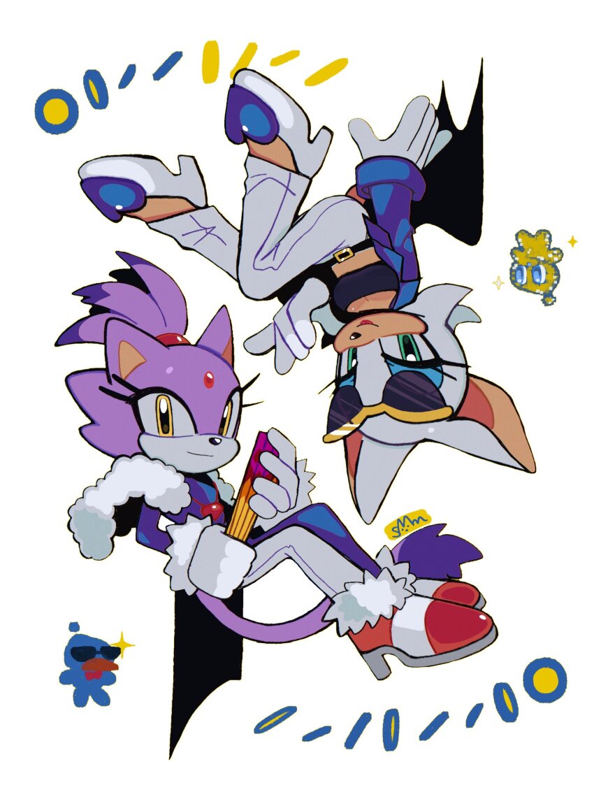 Blaze The Cat (Sonic (Series)) Rule 34 Image