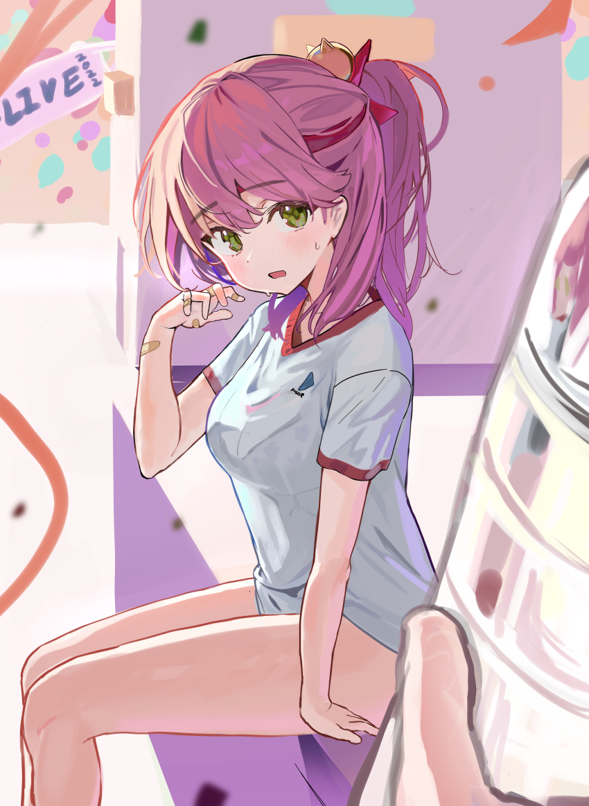 Sakura Miko (Hololive) Rule 34 Image