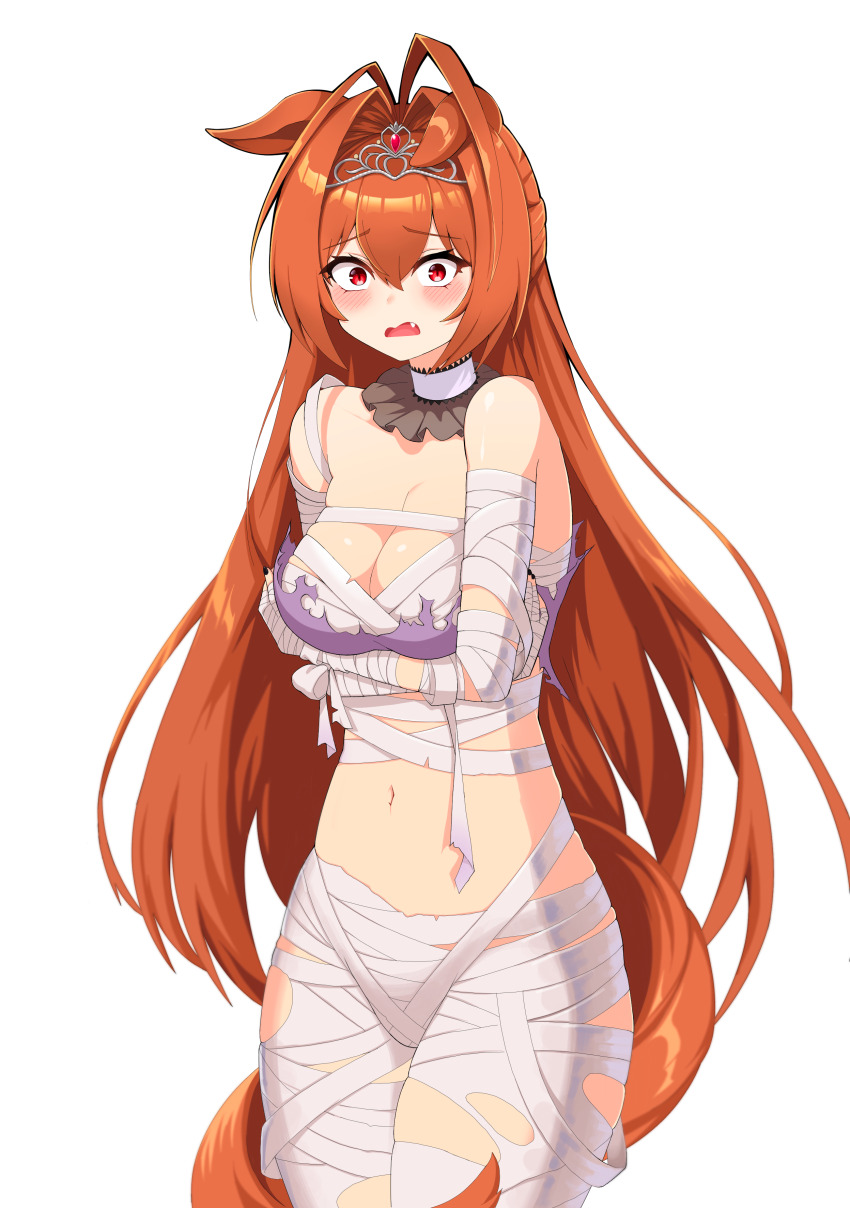 Daiwa Scarlet (Scarlet Nuit Etoile) (Umamusume) Rule 34 Image