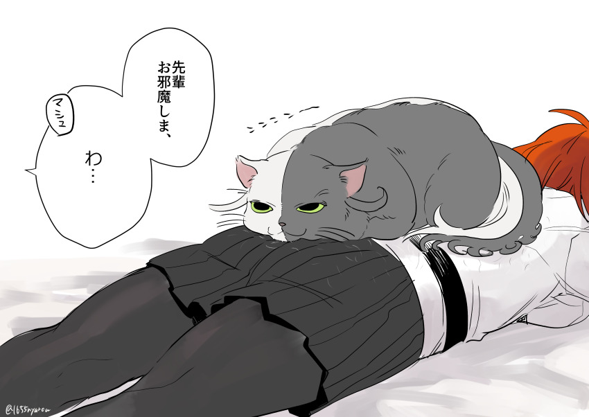 Ashiya Douman (Fate) Rule 34 Image