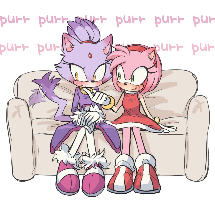 Amy Rose (Sonic (Series)) Rule 34 Image
