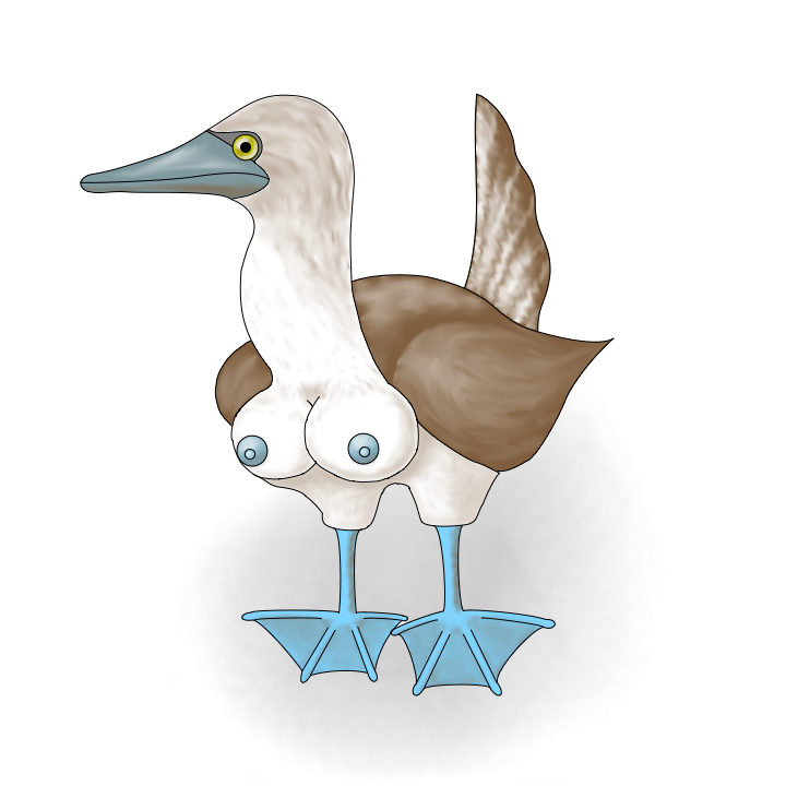 Bird Rule 34 Image
